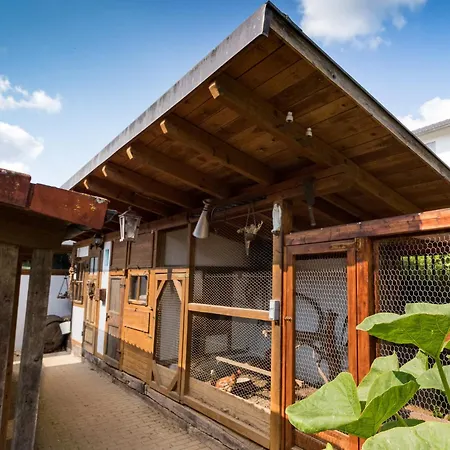 Heimatgefuehl Thalheim *