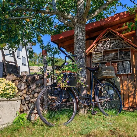 Heimatgefuehl Thalheim Διαμέρισμα