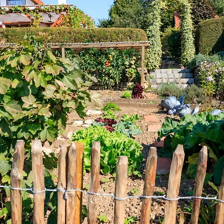 Apartamento Heimatgefuehl Thalheim *